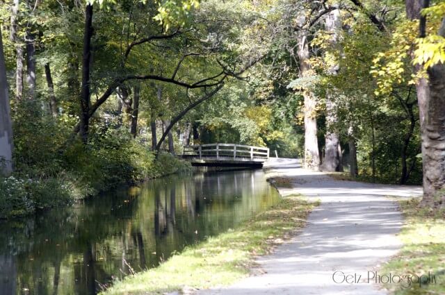Bridge — photograph 3