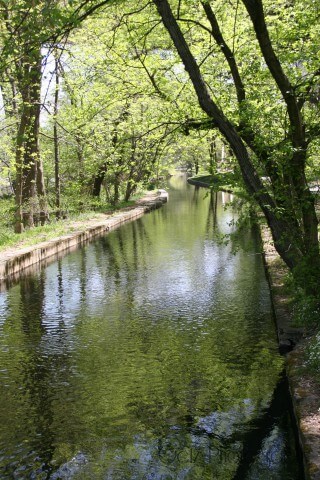 River — photograph 4