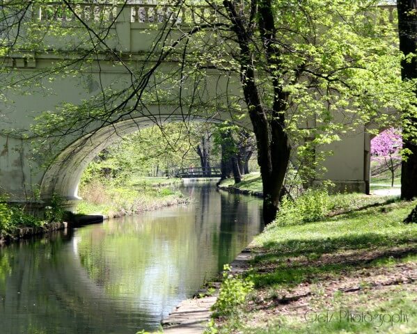 Bridge — photograph 5