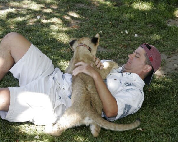 Lion Cubs — photograph 5