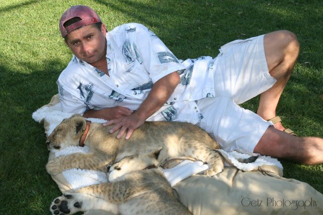 Lion Cubs — photograph 12